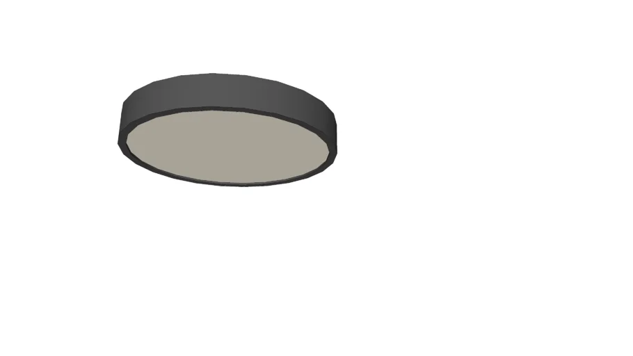 ceiling light OL251733