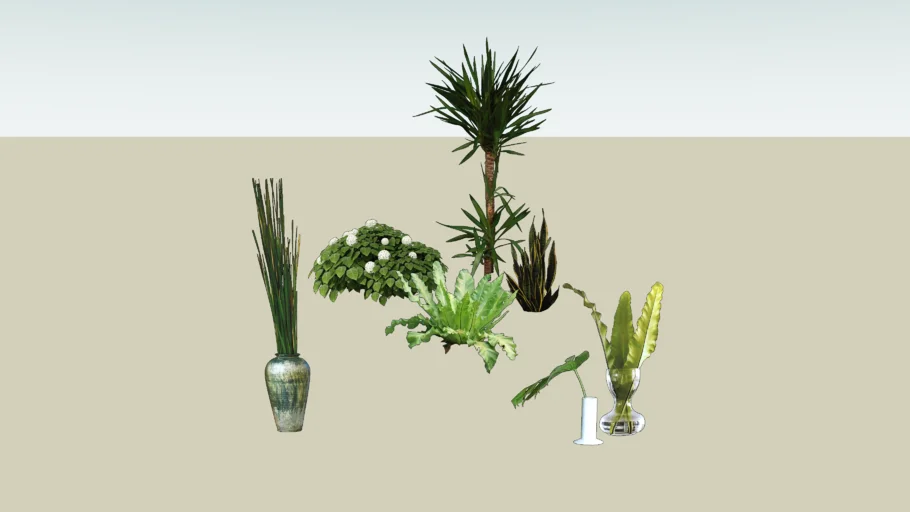 plant water gauge Hydrate main image 1