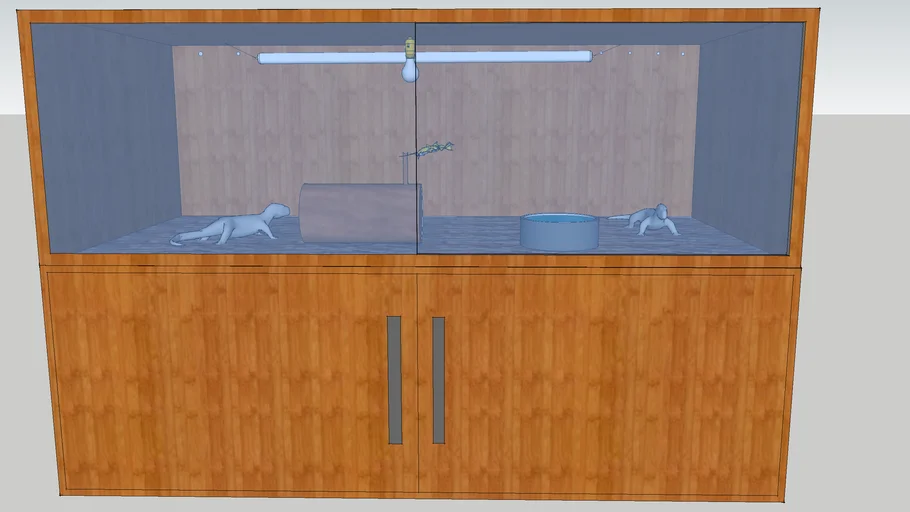 reptile enclosure 2