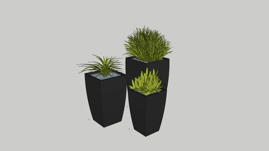 Pot Plants