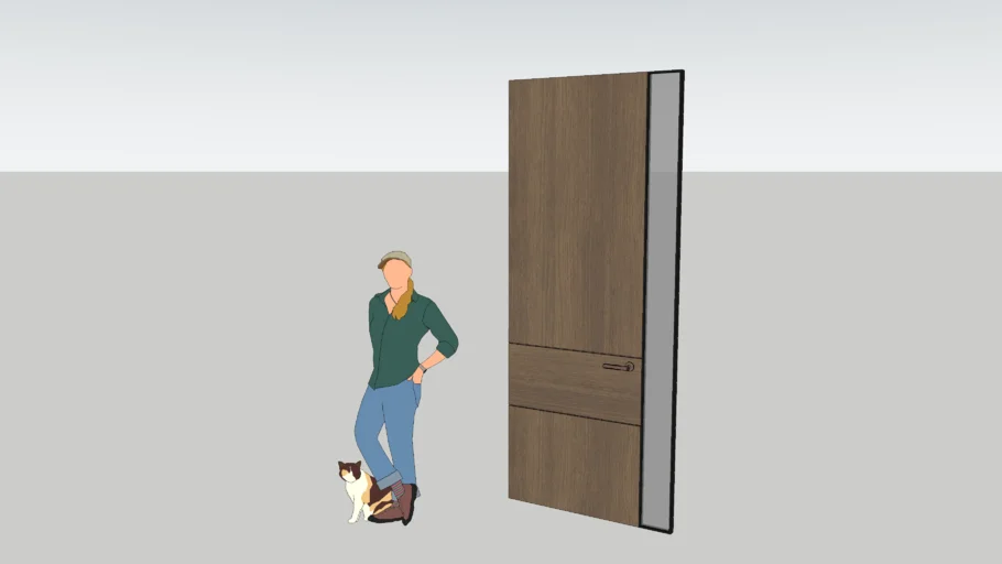 Modern door