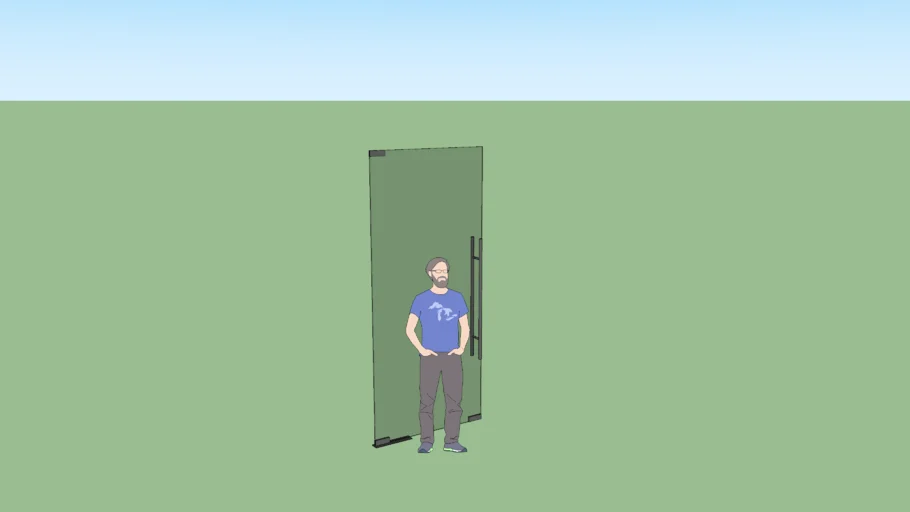 Tempered Glass Door