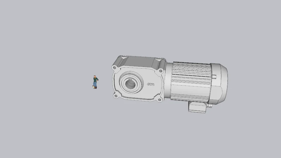 motor gear