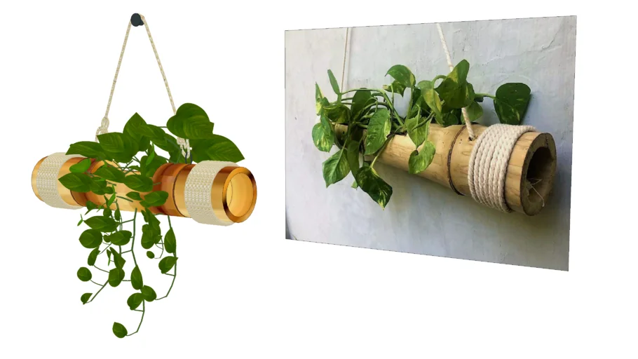 wall hanging with plants