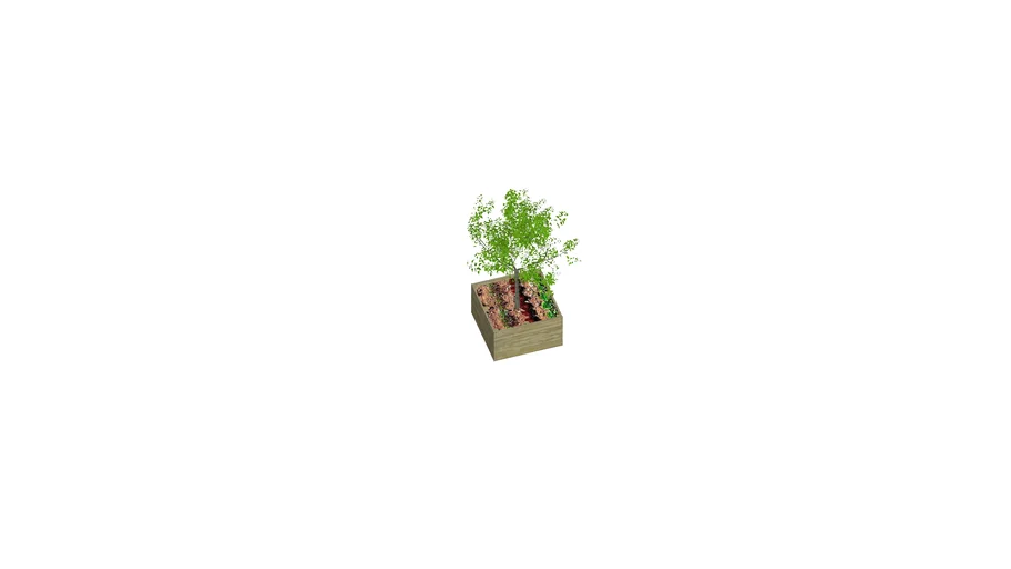 Raised vegetables garden bed with apple tree