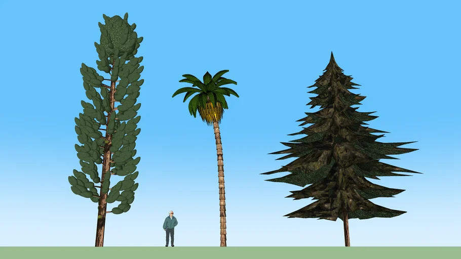 Various 3D trees