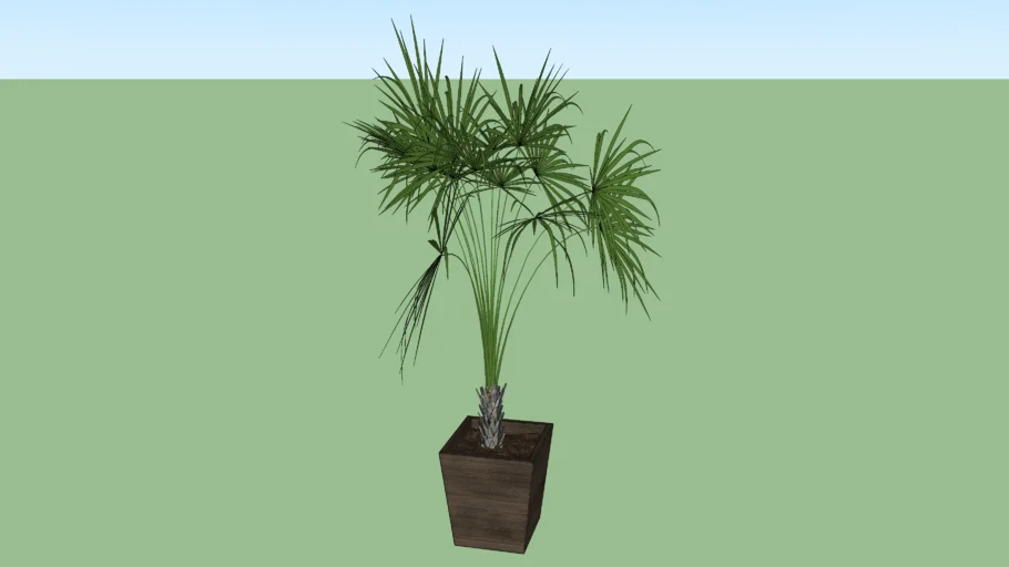Palmeira com vaso