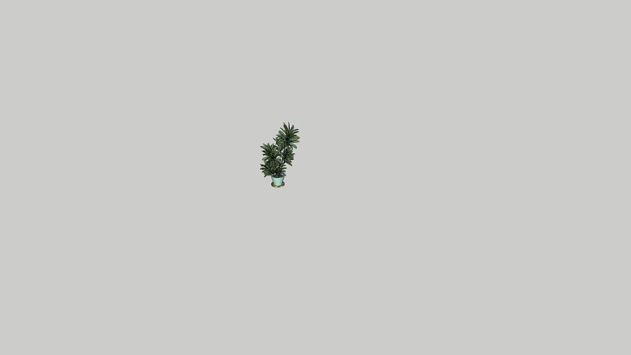 Indoor plant