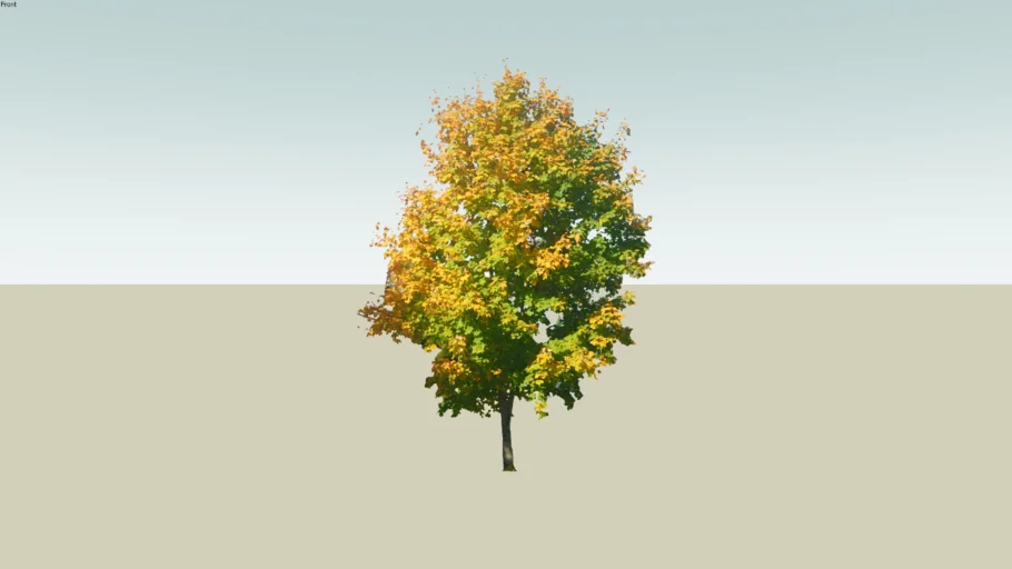 Trees and plants textures