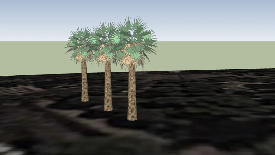 palmeras