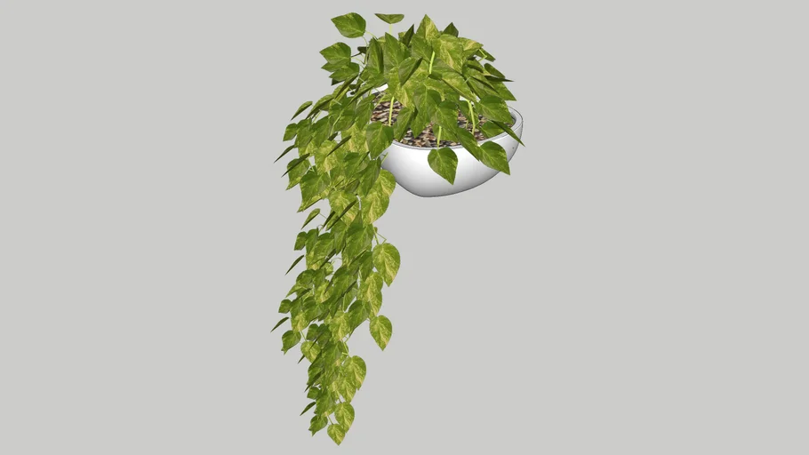 Wall potted plant