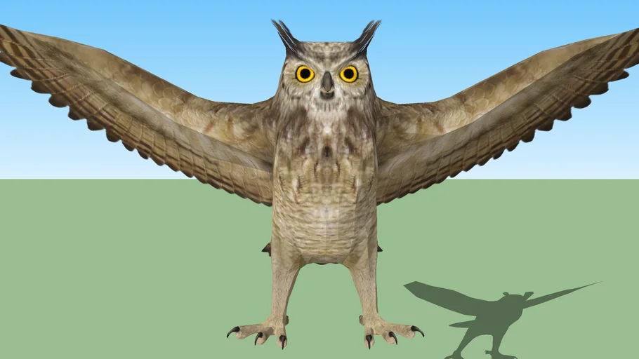 owl
