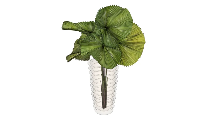 FOLHAS PALMEIRA LEQUE