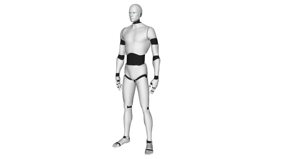 Humanoid Robot