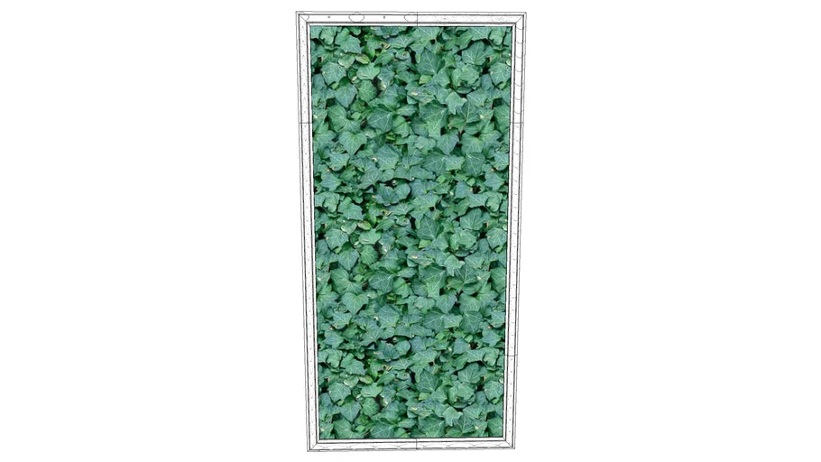 PICTURE FRAME