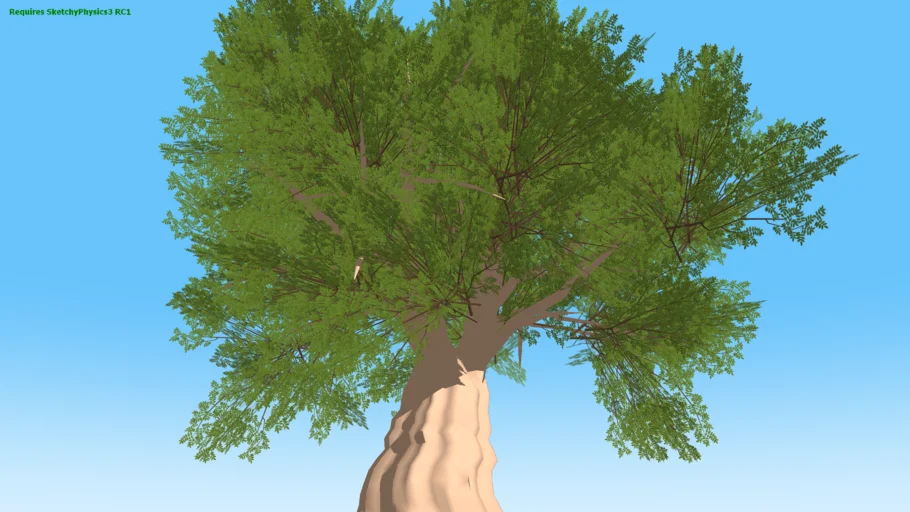 Live oak