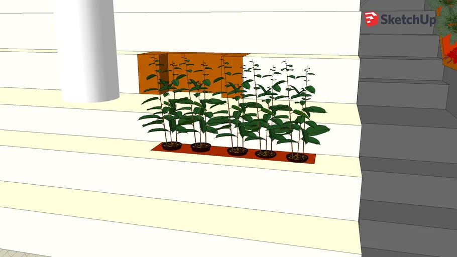 Atrium