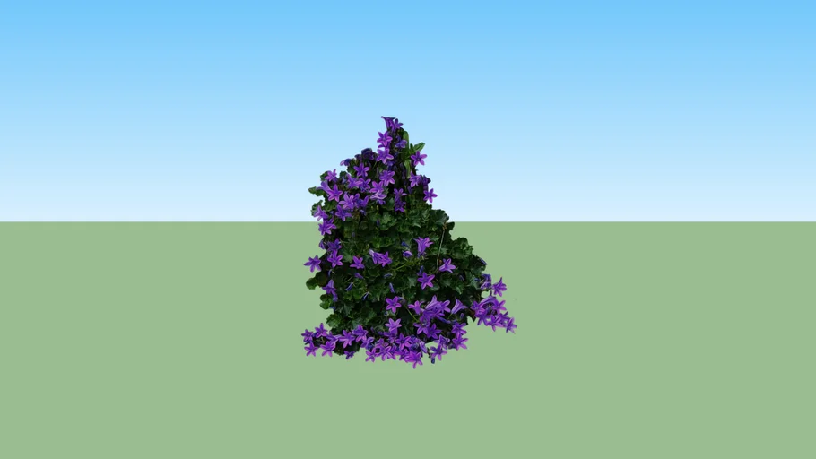 Purple Flower