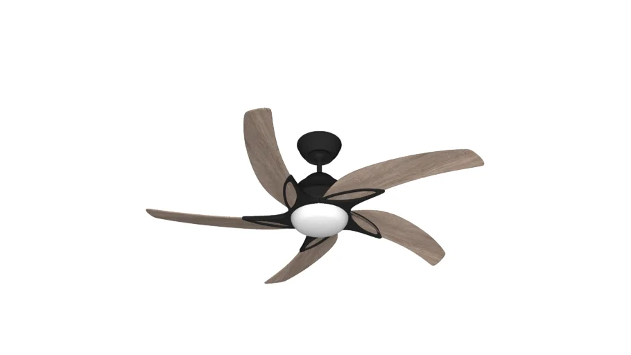 Ceiling Fan
