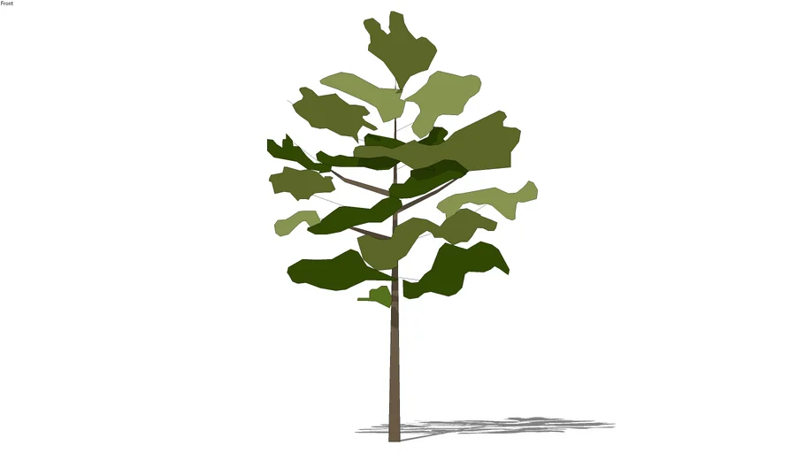 2D schematic sparse tree 12'