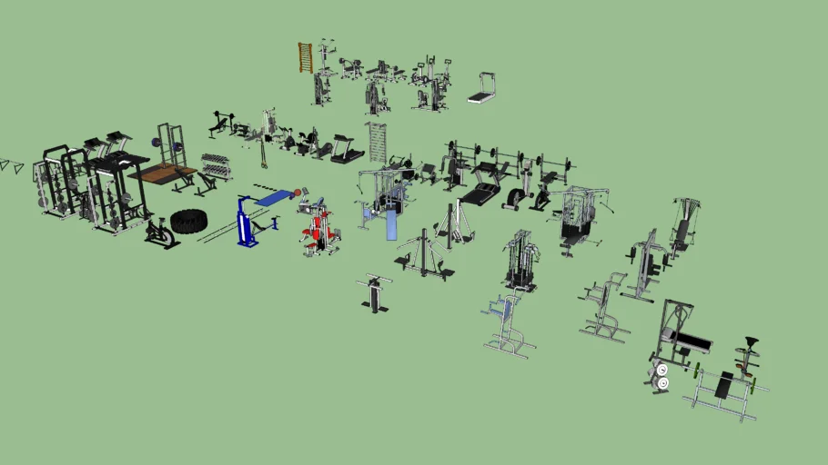 GYM