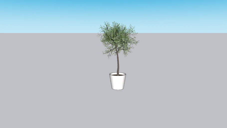 Crate and Barrel Faux Olive Tree in Pot 5'