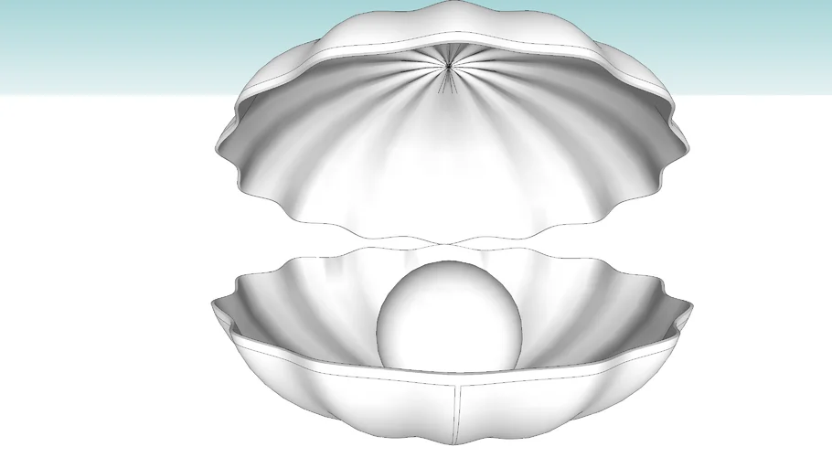 SHELL-3