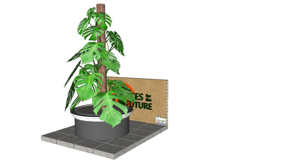 Plant pot