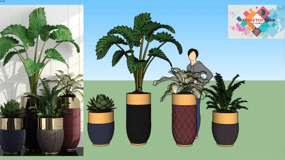 PLANTS- DOWNLOAD LINK IN THE DESCRIPTION
