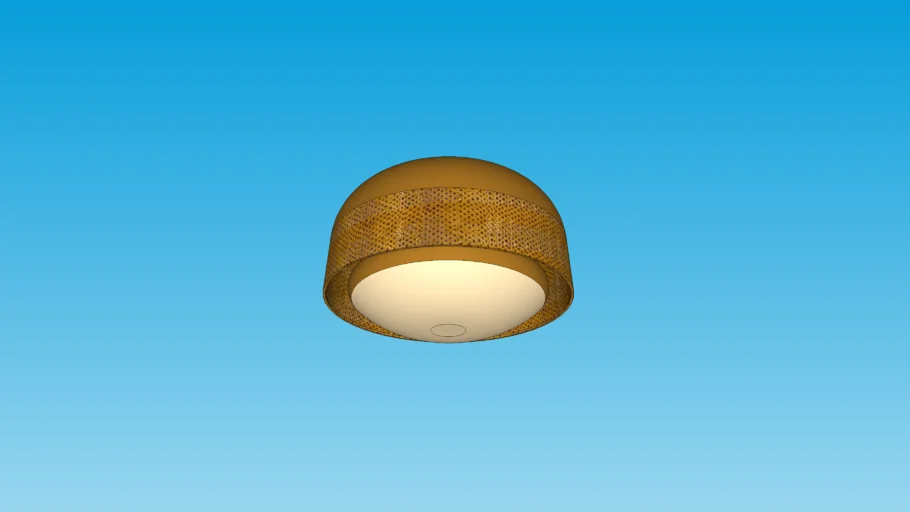ceiling light
