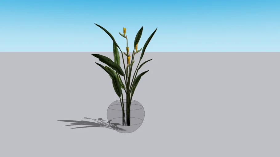 Glass Vase