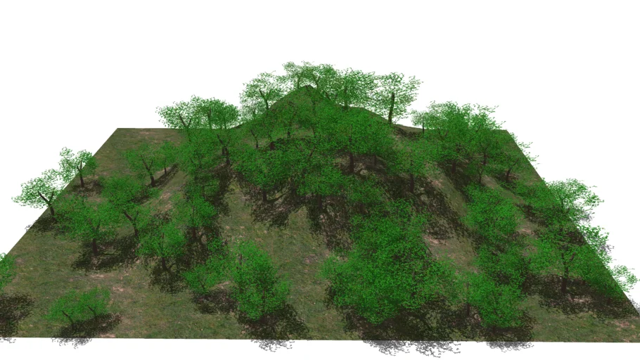 Terreno