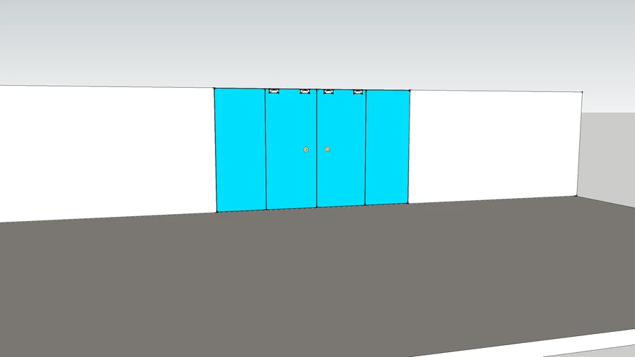 glass swing door