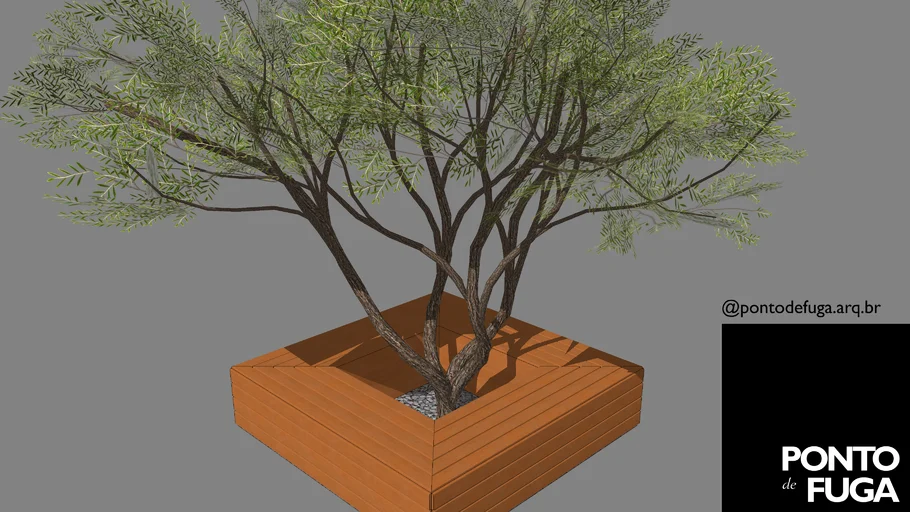 Banco em torno de árvore - Bench around a tree