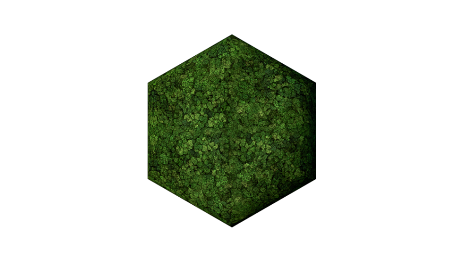 Convex Hexagon Medium