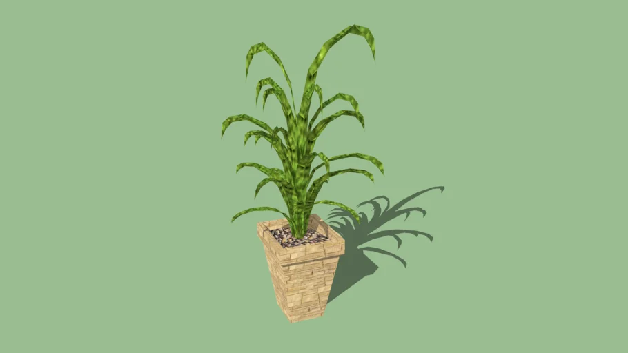 Potted Plant