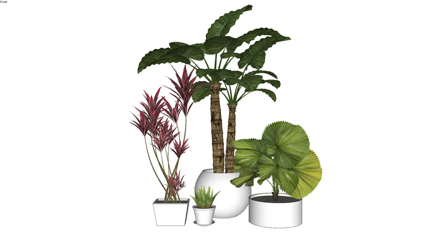 PLANTA JARDIM JARDINAGEM  DECORAÇÃO EVA