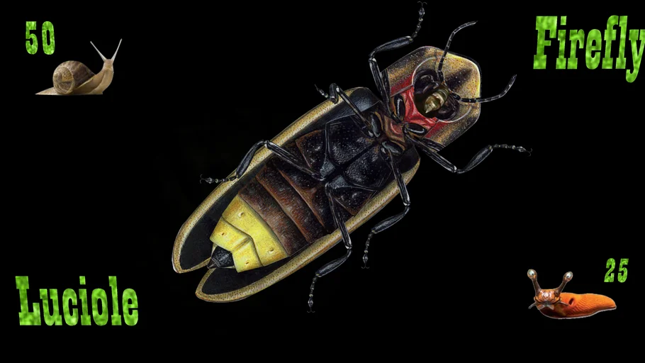 Firefly