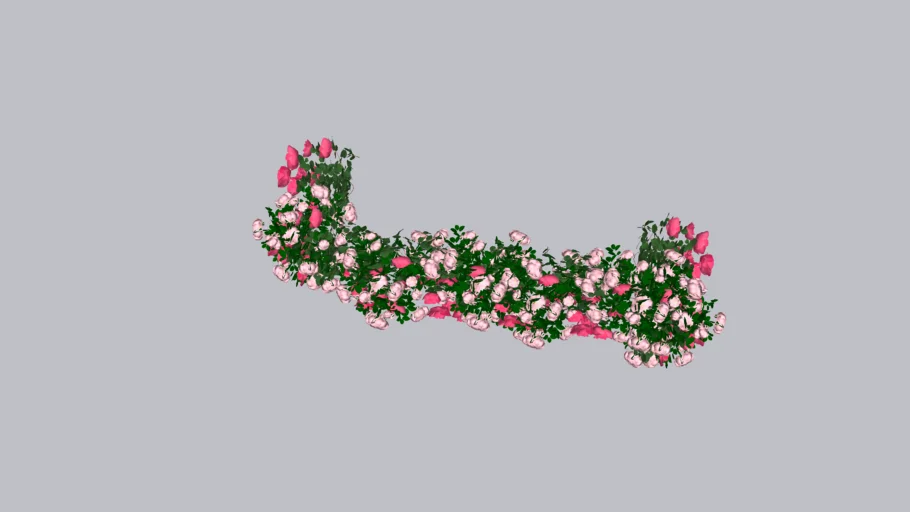 Canteiro flores