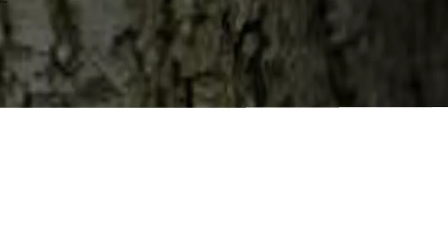 Arbol