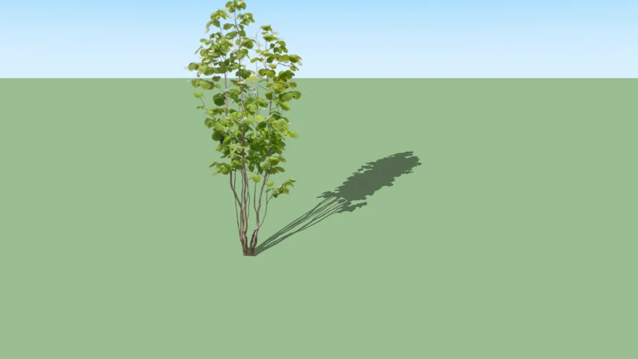 2d tree 02