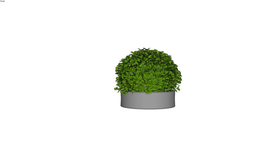 vaso com planta