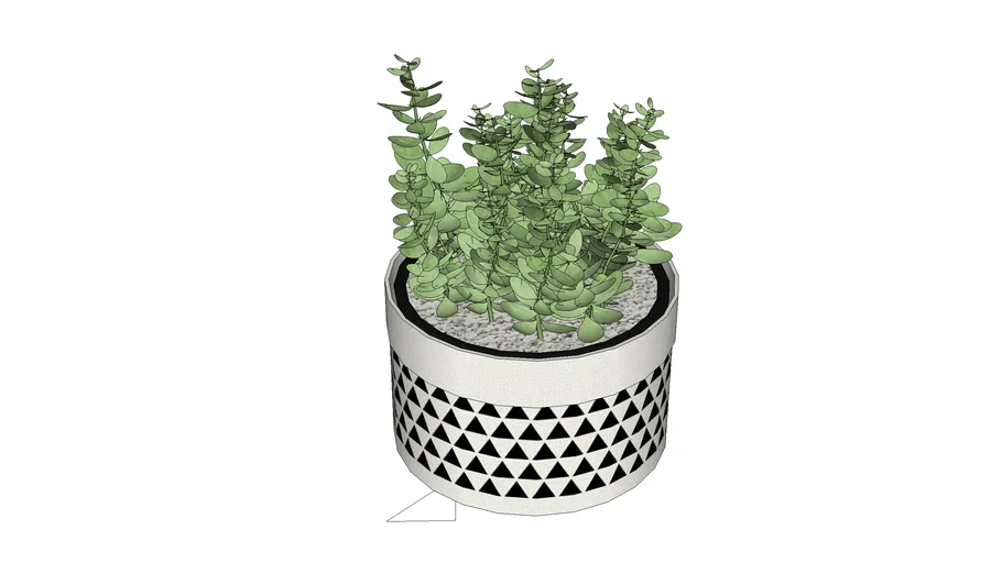PLANTS 02