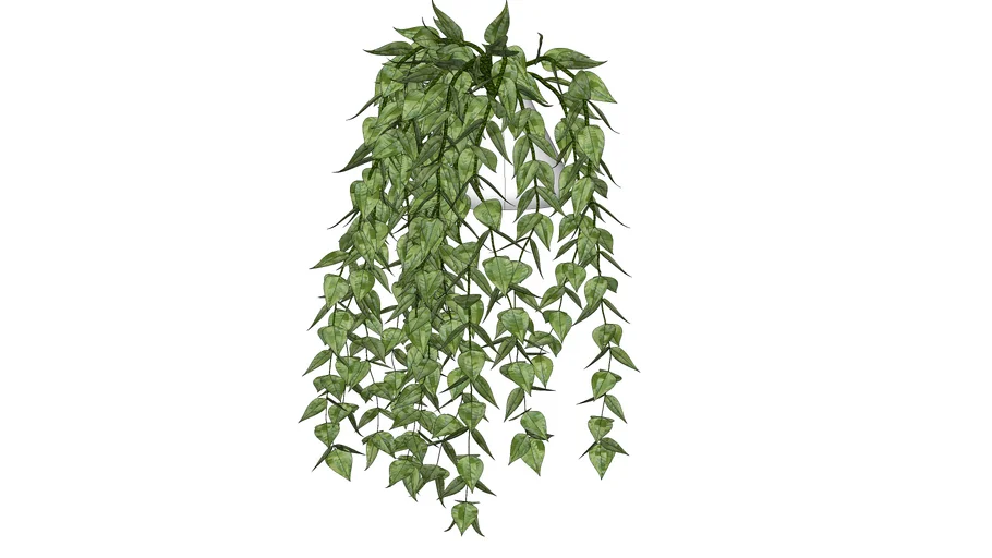 PLANTA