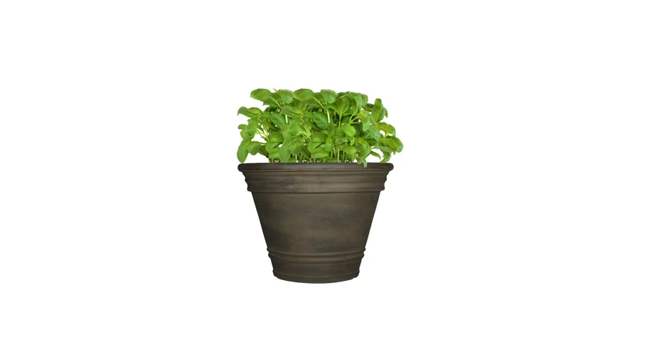 CHROMA - 2D faceme planter