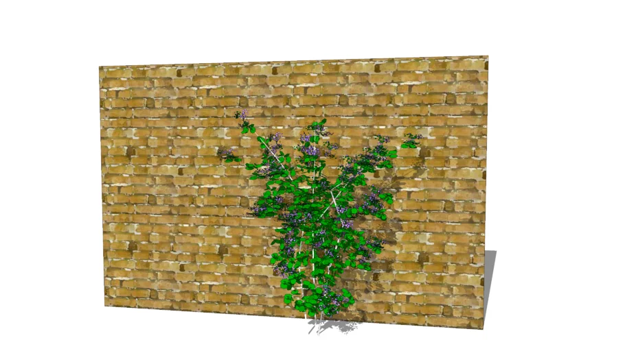 Trepadora 3d