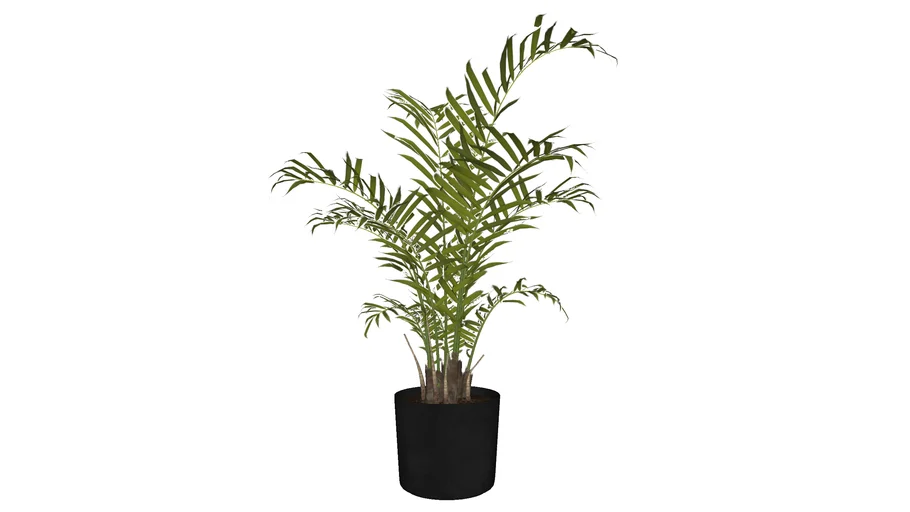 POT PLANTER 4