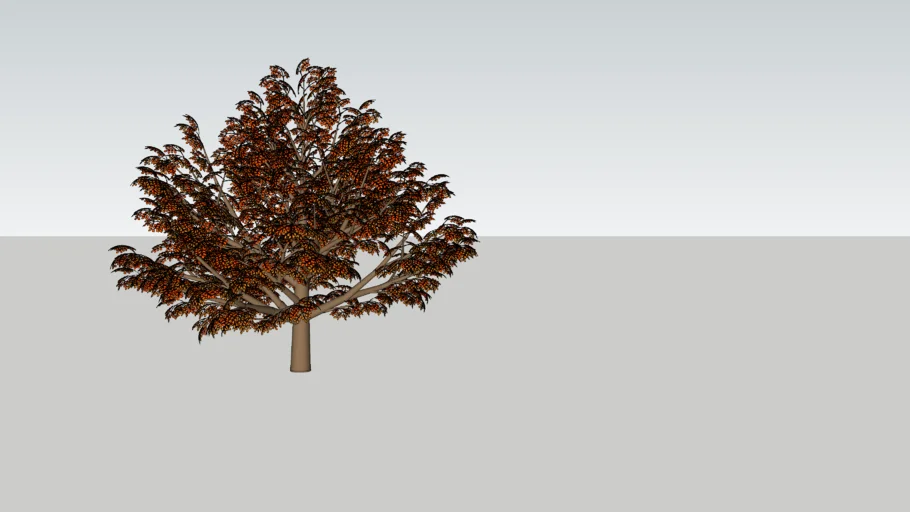 yellow tree