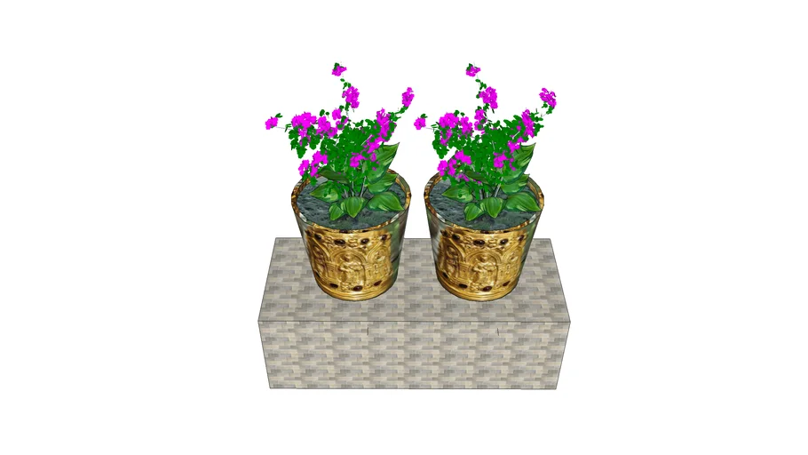 flower plant