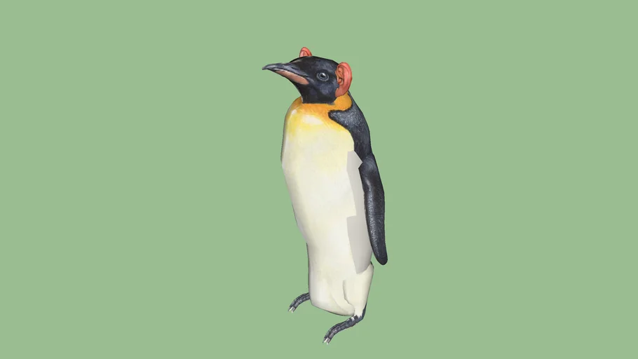 strange penguin——human's ears penguin